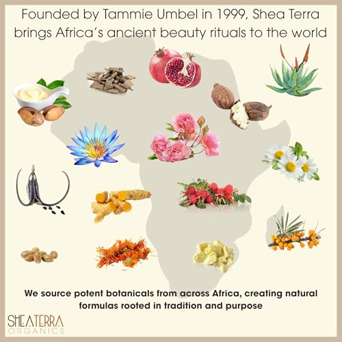 Shea Terra Organics 100% Organic Cold-Pressed Virgin Shea Butter ? Coconut Lemongrass | Natural Anti-Aging Daily Skin, Nails & Hair Cream to Soften Dry Skin, Reduce Wrinkles & Stretch Marks ? 6 oz