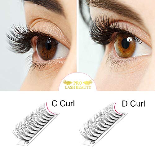 Premade Fans Eyelash Extensions 6D-D-0.10-14 Short Stem Premade Volume Eyelash Extensions .07 .10 C D Curl Pre made Lash Fans 9 to 20 mm Volume Lash Extensions (6D-D-0.10,14mm)