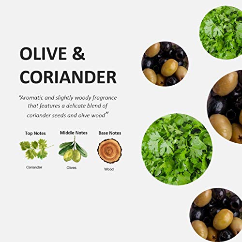Cucina Purifying Hand Wash Coriander and Olive Tree 16.9 Fl Oz Glass Bottle by Cucina