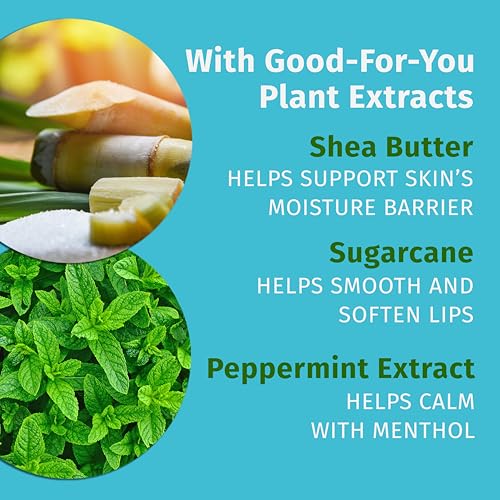 Hempz Crushed Peppermint Sugar Herbal Lip Balm .44 oz