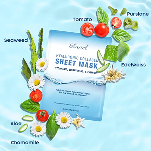 Seaweed Bath Detox Refresh Cream and Scrub Bundle