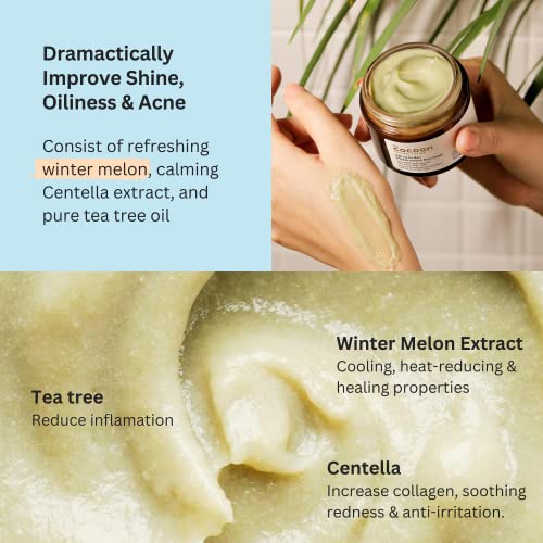 Cocoon Winter Melon Face Mask for Clogged Pores, Absorbs Excess Oil, Detoxifies & Refines Skin with Centella, Tea tree, Winter Melon (1.01 fl oz)