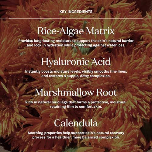 Kari Gran Moisture Milk Deep Hydration Mist ? Pro-Ceramide & Niacinamide Facial Hydrating Mist, Featherlight Milky Moisturizer + Vitamin C, Aloe & Calendula ? Restores Skin Barrier, 1.7 Fl Oz