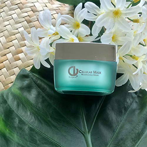 Organic Raw Shea and Mango Butter | 100% Pure,Natural & Unrefined Body and Hair Moisturizer, 3.53 oz