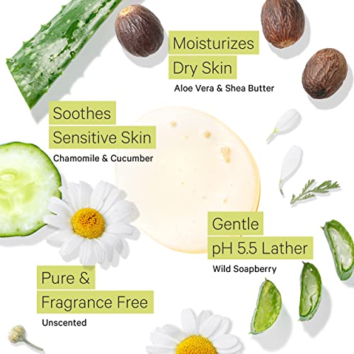Tree to Tub Unscented Body Wash for Sensitive Skin and Dry Skin & Fragrance Free Shampoo for Dry Sensitive Scalp - Moisturizing pH Balanced Fragrance Free Body Wash & Unscented Hydrating Hair Shampoo