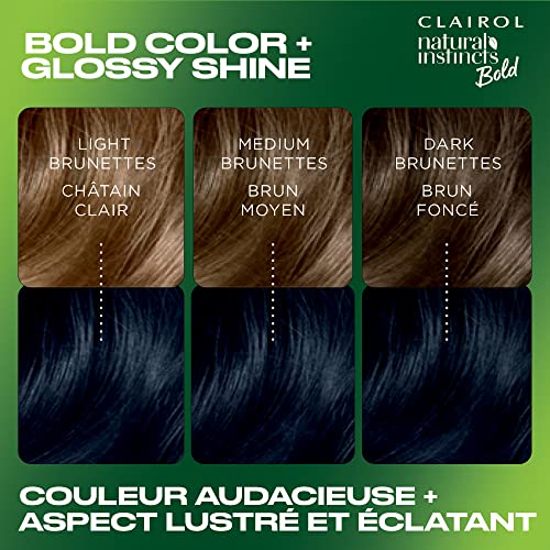 Clairol Natural Instincts Bold Permanent Hair Dye, BL28 Blue Black Colibri Hair Color, Pack of 2