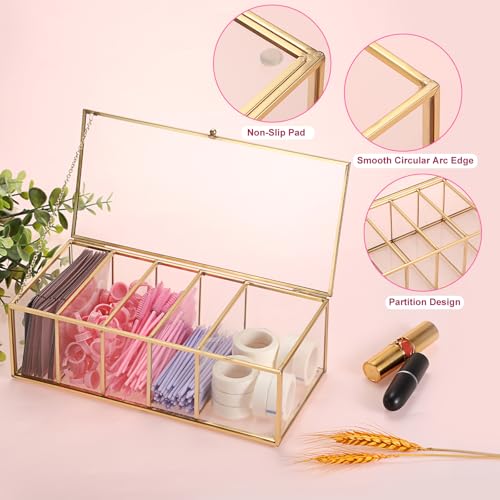 ELLDOO Lash Extension Organizer Box with Lid, Gold Glass Eyelash Supplies Organizer Storage Box, 5 Compartments Bathroom Supplies Storage Container for Cotton Swabs, Balls, Pads, Floss Picks