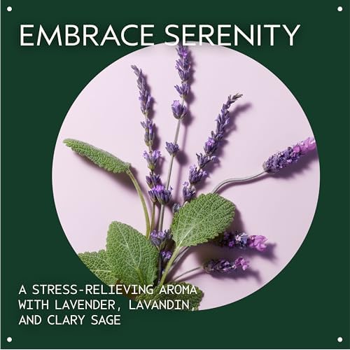 Aveda Stress-Fix Concentrate Rollerball | Shown to Reduce Feelings of Stress | with Aroma of Lavender, Lavandin, Clary Sage, 0.24 Fl Oz