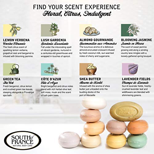 South Of France Natural Body Care Triple Milled Large 6OZ Bar Soap (Variety Pack 1, 8 Bars)