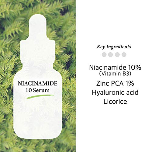 Cos De BAHA Niacinamide 10% Serum 1 Fl Oz ? Zinc PCA, Hyaluronic Acid & Aloe for Balancing, Pore-Refining & Uneven Tone (30 ml)