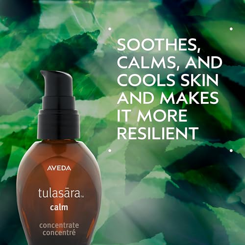 Aveda Tulasara Calm Concentrate | Soothing Serum for Visible Redness | Calms, Cools & Hydrates Skin | with Algae & Pomegranate Extract | 96% Naturally Derived*, 1 Fl Oz