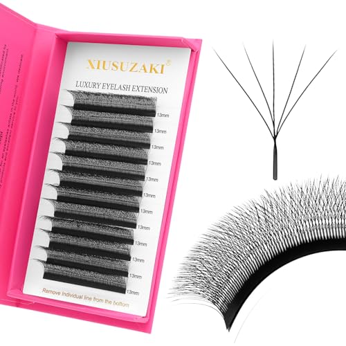 Lash Extensions 5D Eyelash Extensions W Lashes 0.07mm Thickness D Curl Lashes Mix 8-15mm Soft Lash Trays Volume Lash Extension Natural Matte black False Eyelashes Professional Use(W-5D-0.07-D,8-15mm)