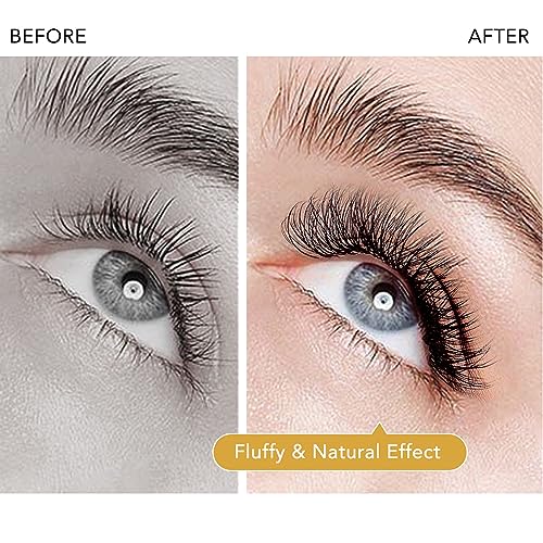 W Eyelash Extensions D Curl 0.07mm 8-15mm Mix Tray W Shaped 5D Volume Premade Fan Lashes Matte Black Cluster Easy Fans Lashes Professional Use YY Lash