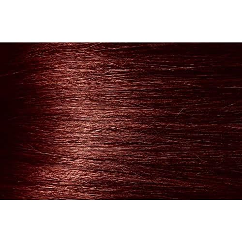 CHB3 Medium Cherry Brown Bigen Semi Permanent Hair Color (6 Pack)