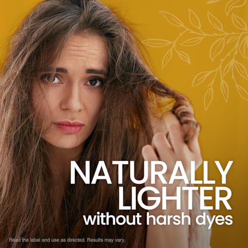 Tio Nacho Natural Lightening Shampoo with Chamomile and Royal Jelly, Clarifying Shampoo for Blonde and Light Brown Hair, Shine-Enhancing Formula with Natural Botanical Extracts, 14 fl oz (Pack of 3)