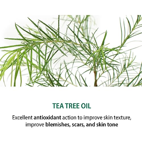 DEARBOO SKIN Balancing Centella Cica Zero Facial Emulsion 5.07 fl.oz(150ml) | AHA BHA PHA and Teatree | Soothing, Calming, Moisturizing for Sensitive Skin | Daily Korean Skincare