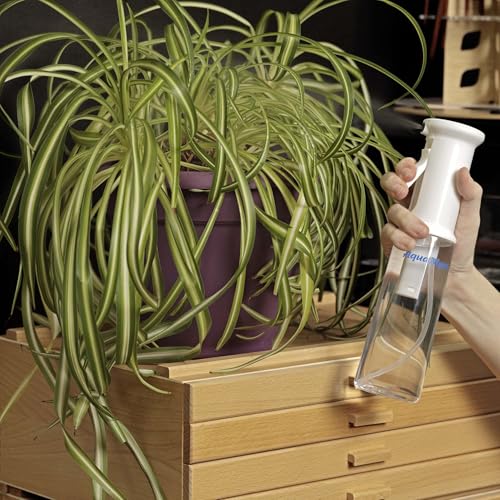 Creative Mark AquaMyst 300 ml Continuous Mist Spray Bottle - 2-Pack - Ergonomic Plant Mister - Water Mister Spray Bottle w/Pre-Compression Technology, Drip-Free 0.3 mm Nozzle, Clear 10.14 oz Bottles