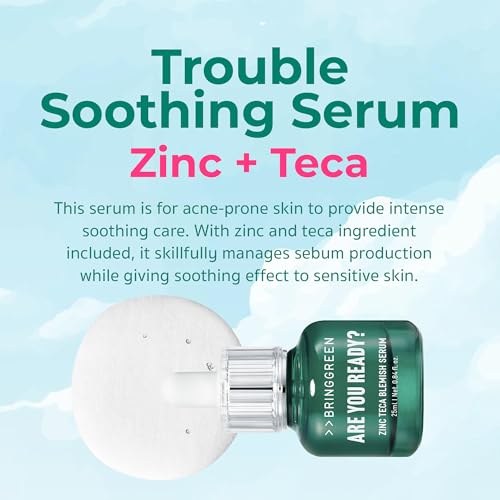 BRINGGREEN X NETFLIX SQUID GAME Zinc Teca Serum (+Gonggi) + Bamboo Hyalu Lip Essence Double Set
