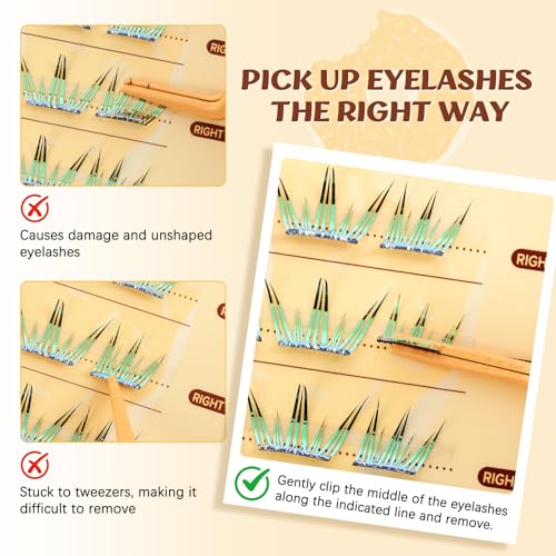 QUEWEL Self Adhesive Eyelashes, Colored Lash Clusters with Tweezer,36 PCS Pre Glued Eyelashes Clusters with 9-12mm, No Glue Needed Unique Matching to Enhance Charm(ZZBP-01)