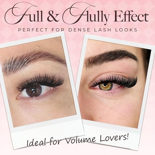 LASHVIEW 1000 Fans 10D Premade Volume Eyelash Extensions Mixed Tray Premade Fans Eyelash Extensions D Curl Premade Lash Fans Pointed Handmade Promade Loose Fans Thin Base (10D-0.07D,8-15mm)
