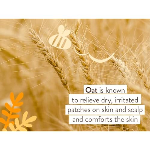 Babo Botanicals Moisturizing Oat & Calendula Miracle Face Cream ? Shea Butter Hydration for Dry or Sensitive Skin ? Gentle for Baby, Toddler, Kids & Family ? Vegan