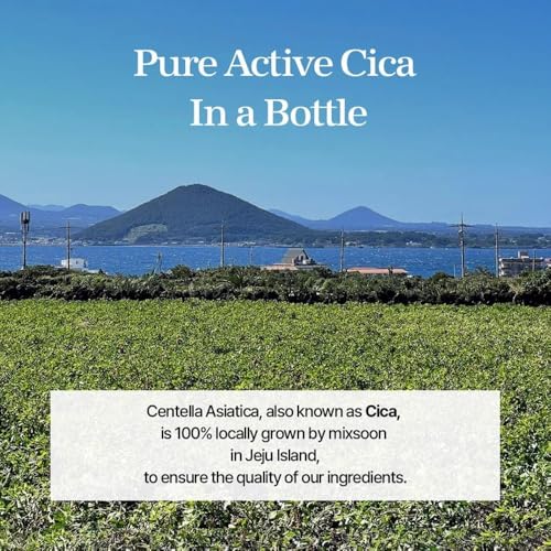 mixsoon Soondy Centella Asiatica Essence-Soothing and Calming for Face, Jeju Island Cica Extracts and Hydrating Formula for Balanced Skin 30ml / 1.01 fl.oz. Korean Glass Skin Care