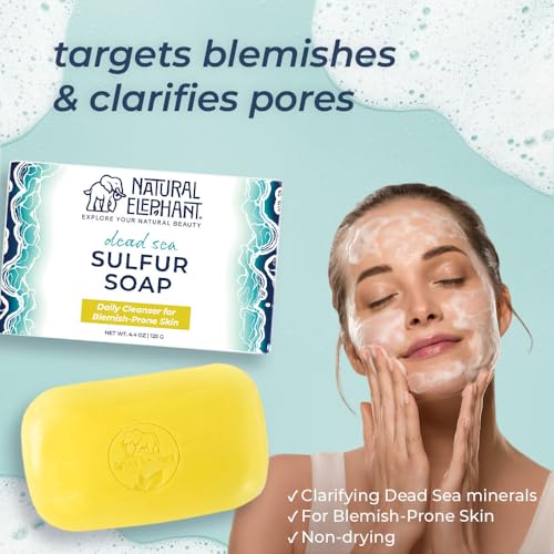 Natural Elephant Dead Sea Sulfur Soap 4.4 oz with Dead Sea Salt, Aloe Vera, Sulphur Face and Body Cleanser Bar for All Skin Types (10 Pack (44 oz Total))