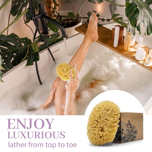 Sea Wool Sponge by Baudelaire 5.5" - Natural Sea Sponges for Bathing - Bath Sea Sponge for Shower - Natural Sea Sponge Loofah | Durable | Sustainable & Environment-Friendly Natural Sponges for Body
