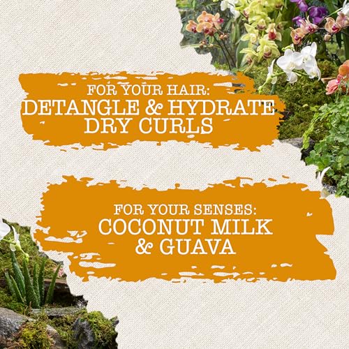 Maui Moisture Nourish & Moisture + Coconut Milk Conditioner to Hydrate and Detangle Curly Hair, Lightweight Daily Moisturizing Conditioner, Vegan, Silicone & Paraben-Free, 13 fl oz (Pack of 2)