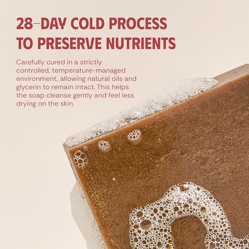 Turmeric Tea Tree Ginger Body Soap Bar 4.2 oz - Exfoliating Detox Cleanse for Back & Chest - Refreshing Lather - Cold Process Handmade (Pack of 1)