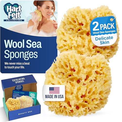 HartFelt Wool Sea Sponge Beauty Box for Delicate Skin | 2 Bath Sponges for Shower Women & Men 4 in | Natural Sponge with Mesh Bag for Cleaning & Drying | Chemical-Free Body Sponge Set - Gift Box