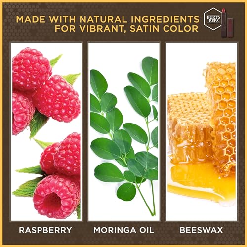 Burts Bees 100% Natural Moisturizing Lipstick, Nile Nude, 1 Tube