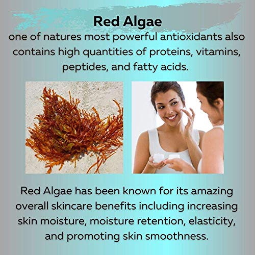 Delfanti-Milano ? COLLAGEN REJUVENATING AND NOURISHING Night Cream ? Face and Neck Moisturizer with BLACK PEARL and RED ALGAE GEL? Made in Italy
