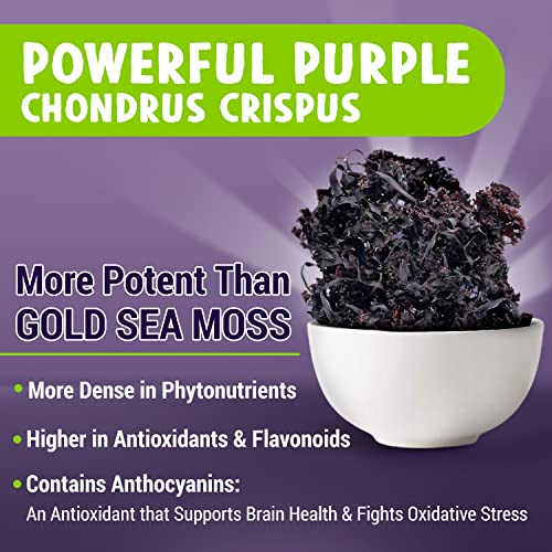 Maju Superfoods Super Sea Moss & Black Seed Oil Bundle