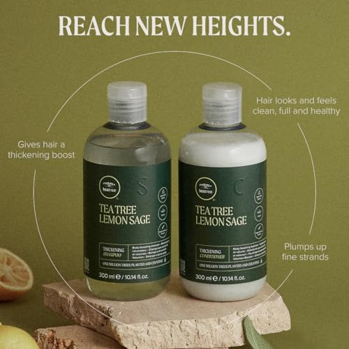 Shea Moisture Jamaican Black Castor Oil Clarifying Shampoo & Conditioner - Strengthen & Restore Sulfate-Free Shampoo & Conditioner Set with Shea Butter, ACV, and Peppermint Oil for Hair (2 Piece Set)