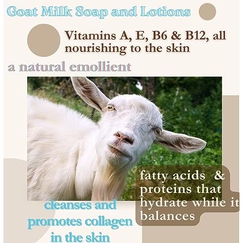 Handmade Goat Milk Soap set of two bars- BOGUE WELLNESS No.32 Detox Blend with Activated Charcoal & Diatomaceous Earth to detox, potent antioxidant Essential Oils help improve circulation
