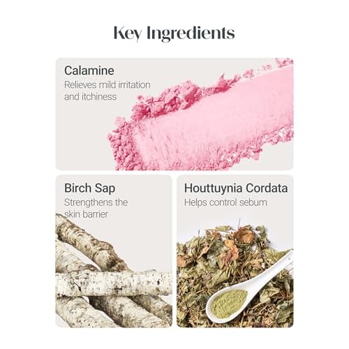THESAEM Saemmul Perfect Pore Pink Pact - Makeup Finishing Pressed Powder for Sebum Control and Pore Minimization, Soothes Sensitive Skin with Calamine, Setting Powder, Clumps Free 12g