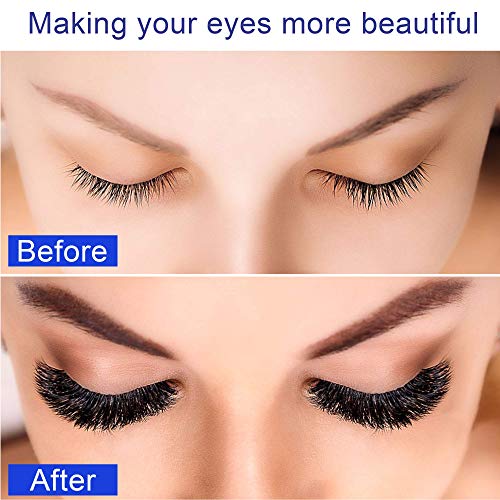 Alcastar Magnetic Eyelashes, Synthetic Fiber, Natural Look, Waterproof, No Glue Required (KIT 007)