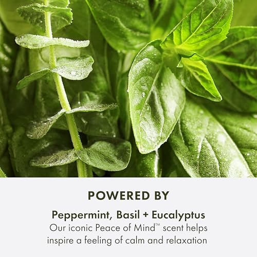 Origins Peace of Mind Exfoliating Body Scrub | Smooths Rough Skin | With Bamboo, Peppermint, Basil and Eucalyptus Blend, 6.7 Fl Oz