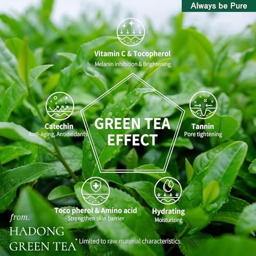 Green Tea Sleeping Mask 75ml ? Rich Moisture Night Mask, Hypoallergenic, Calms Redness, Deep Hydration for Sensitive Skin, Non-Sticky Korean Skincare