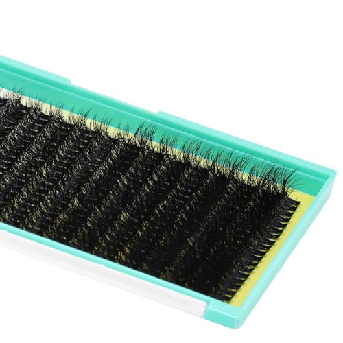 320 Cluster Lashes Hairly Volume Eyelashes 40D Wispy Individual False Eyelashes Mixed 10-18mm DIY Eye Lashes Extensions Natural Look (40D-Mixed 10-18mm)