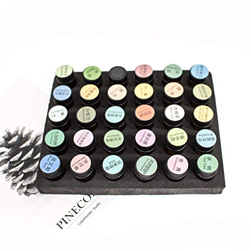 REQO Makeup Brush Organizer with Lid,Makeup Brush Holder Case Dustproof Black,Make Up Brush Bag Pouch with Cover Trave