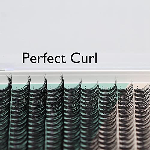 Sulv 200Pcs Dramatic Eye Lash C Curl Natural Look Mixed Size Cluster Eyelash False Eyelash 20D/30D Thick Eyelash Extension Make up Tools (10/12/14/16mm Mixed)
