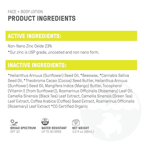Raw Elements Face and Body Mineral Sunscreen SPF 30 Tube, Organic Sunblock Daily Protection, Non Toxic Reef Safe, Water Resistant, Cruelty Free, 3 oz (Pack of 1)