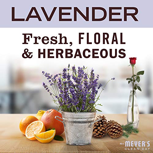 MRS. MEYER'S CLEAN DAY Foaming Hand Soap (662031)