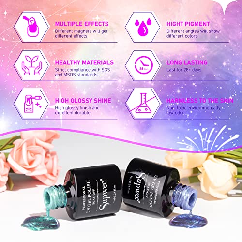12 PCS 9D Cat Eye Gel Polish + 12 PCS Neon Magnet Gel Polish