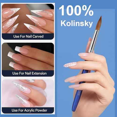 100% Pure Kolinsky Hair Acrylic Nail Art Brushes ? Oval Crimped Tip for Acrylic Powder, Gradient Blue Metal Handle, Professional Nail Art Brush for Salon & DIY (12)