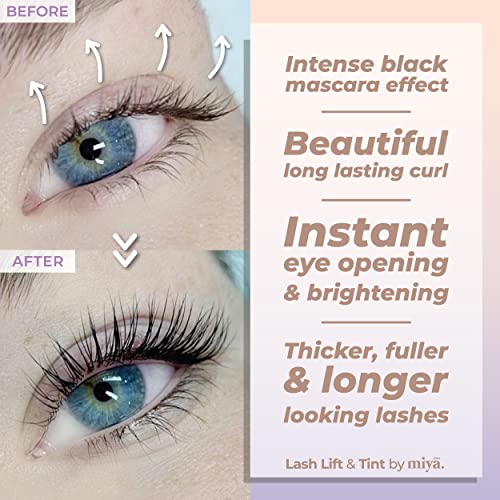 MIYA LASH Lift & Brow Lamination Kit | Black, Voluminous Eyebrows & Eyelashes Color | Professional 8 Weeks Result | LVL, Perm, Laminate | Keratin Brow & Lash Kit With All Tools
