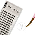 THE LASH SUPPLY 120 Fans, 5D Premade Fan Eyelash Extensions, C/D Curl, 8-15mm Length, 0.07 Thickness, 12 Lines, Volume Lash Extensions, Natural and Long-lasting Curl