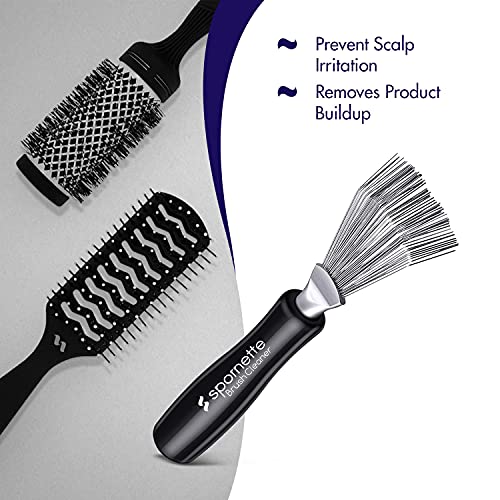 Spornette Hair Brush Cleaner Rake Tool